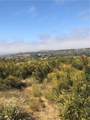 11 Treasure Drive - Photo 3