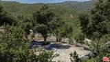 27084 Old Chimney Road - Photo 3