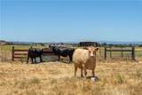 4335 Highway 41 - Photo 20
