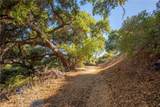 7210 Santa Susana Pass Road - Photo 11
