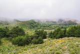 0 Stage Road - Photo 26