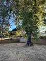 12352 Sylvan Street - Photo 4
