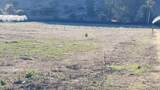 389 Corralitos Road - Photo 15