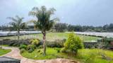 389 Corralitos Road - Photo 21