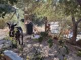 3131 Whispering Pines Rd - Photo 11