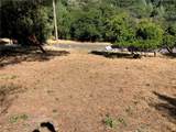 10650 Edgewater Drive - Photo 3
