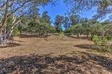 7190 Azzelio Way - Photo 7