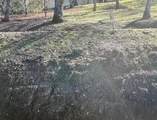 707 Bret Harte Drive - Photo 8