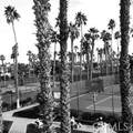 38613 Wisteria Drive - Photo 47