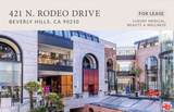 421 Rodeo Drive - Photo 2