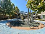 15583 Basil Leaf Lane - Photo 37