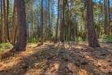 0 Fern Glenn Way - Photo 3