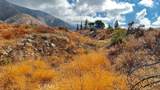 0 Holly Ave - Photo 18