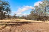 0 39.91 AC Road 400 - Photo 12