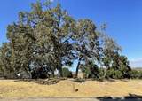 9970 Bluegill Drive - Photo 4