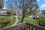 3386 Calle La Veta - Photo 20