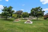 3386 Calle La Veta - Photo 43