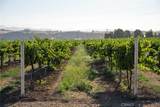 8585 Cross Canyons Road - Photo 69