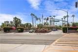 41661 Resorter Boulevard - Photo 31