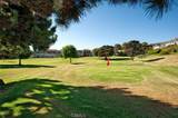 712 Calle Divino - Photo 50