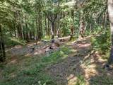 19900 Kings Creek Road - Photo 11