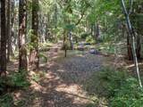19900 Kings Creek Road - Photo 13