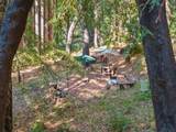 19900 Kings Creek Road - Photo 15