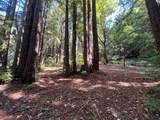 19900 Kings Creek Road - Photo 26