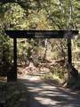 19900 Kings Creek Road - Photo 32