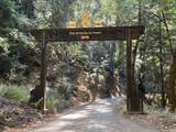 19900 Kings Creek Road - Photo 33