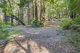 19900 Kings Creek Road - Photo 6
