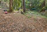 19900 Kings Creek Road - Photo 9