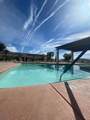 15300 Palm Drive - Photo 30