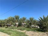 60504 Jackson Street - Photo 7