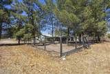 115 Quatal Canyon Road - Photo 2