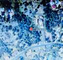 23431 Ridge Line Road - Photo 9