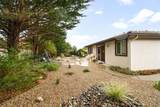 2231 Kittiwake St - Photo 40