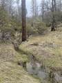 9660 Harrington Flat Road - Photo 14