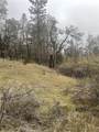 9660 Harrington Flat Road - Photo 3