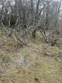 9660 Harrington Flat Road - Photo 6