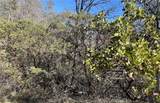 9660 Harrington Flat Road - Photo 7