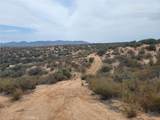 0 Daisy Road - Photo 11