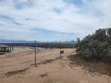 0 Daisy Road - Photo 15