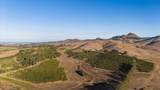 3515 Turri Road - Photo 69