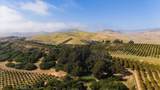 3515 Turri Road - Photo 71