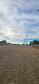 0 Elisa Road - Photo 3