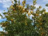 180 Ricci Avenue - Photo 8