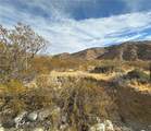 12345 29 Palms Highway - Photo 4