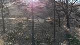 0 Juniper Hills Road - Photo 4