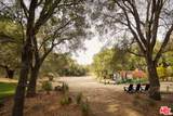 465 Cold Canyon Road - Photo 32
